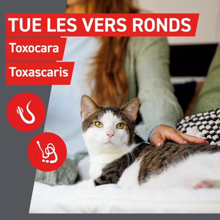 Frontcontrol-Wormer Wurmkur Katzen 2 Tabletten