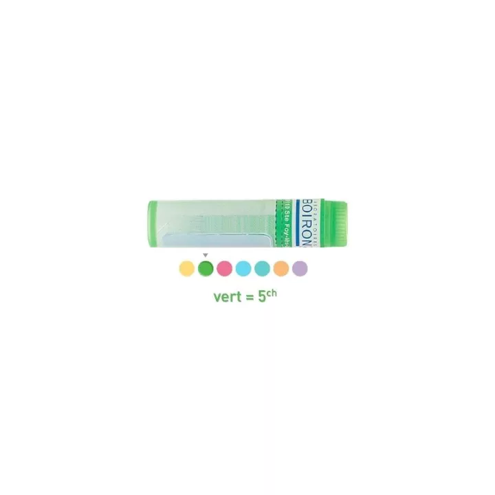 5CH Granules Dose HOMEOPATHIE BOIRON