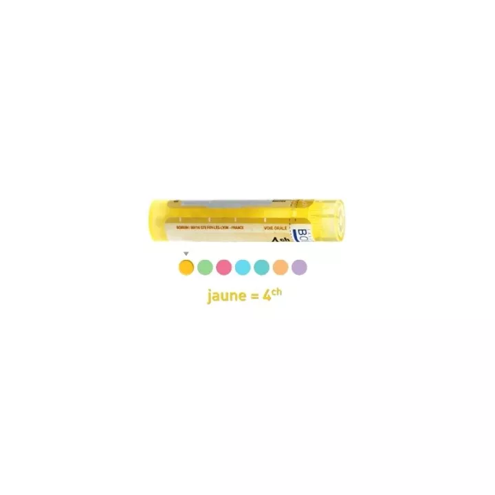 Fagopyrum ESCULENTUM 5C 4C 7C 9C homeopathic pellets Boiron