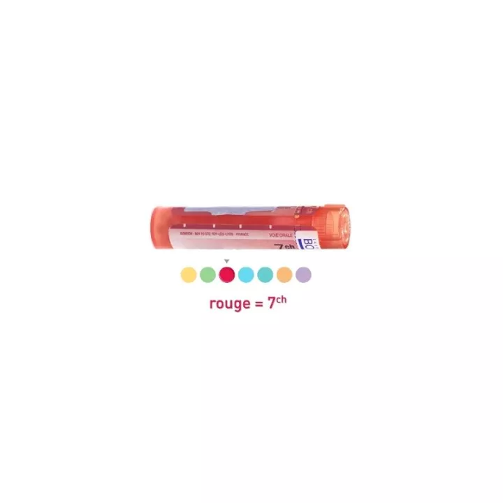 7CH Granules Tube HOMEOPATHIE BOIRON