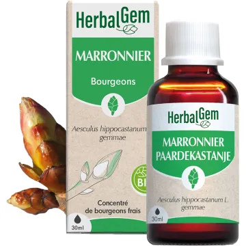 Herbalgem Macerado de Castanha da Índia Biológica 30 ml