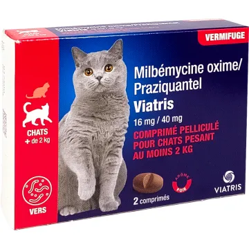 Milbemycin / Praziquantel Viatris Cat 2 tablets