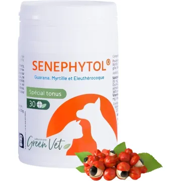 Senephytol Speciaal Tonus Honden & Katten
