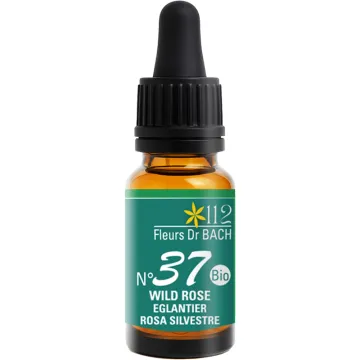 Bloesem van Bach Rozenbottel 10ml Inebios Wilde Roos N°37