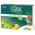 Stodal Plantes Pastilles Nez & Gorge & Bronches x36 