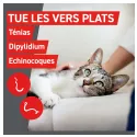 Frontcontrol-Wormer Wurmkur Katzen 2 Tabletten