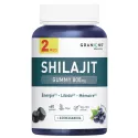 Granions Shilajit 1000mg Energie & Immuniteit 60 capsules