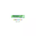 AVIAN 5C 4C 9C 15C 30C 7C homeopathic pellets Boiron