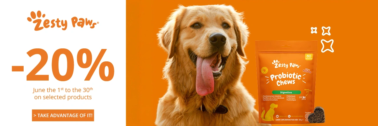 Veterinary