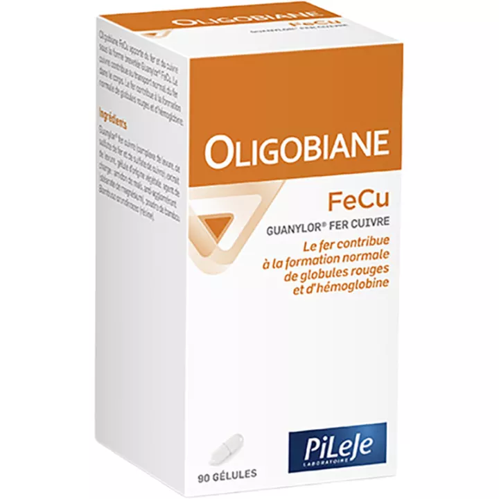 Pileje Oligobiane Eisen Kupfer 90 Kapseln