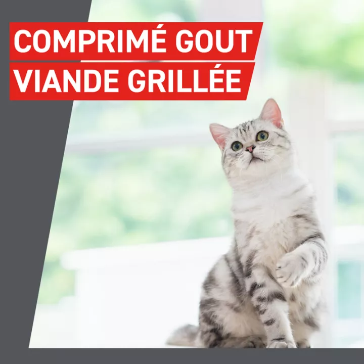 Frontcontrol-Wormer Wurmkur Katzen 2 Tabletten
