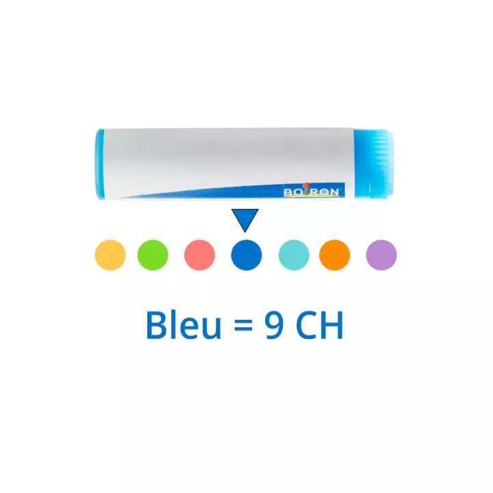 Ledum palustre Monodose homéopathique Boiron