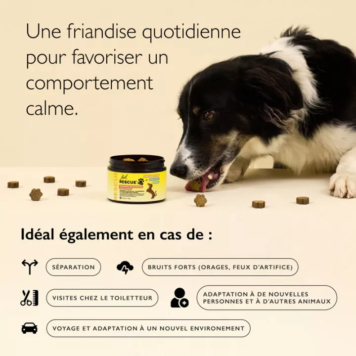 Rescue Pets Friandises pour Chiens x 60