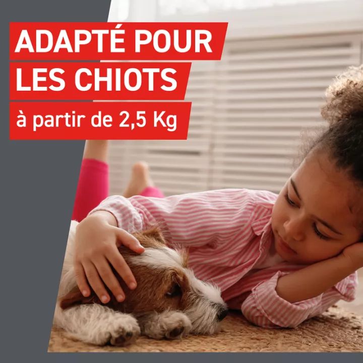 Frontcontrol-Wormer XL Vermifuge pour Grand Chien 2 comprimés