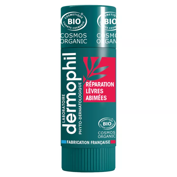 DERMOPHIL INDIEN Lápiz Labial Reparador Fuerte 4g