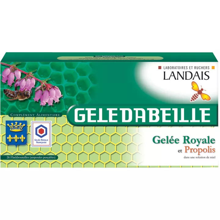 Geledabeille koninginnebrij en propolis 26 flesjes