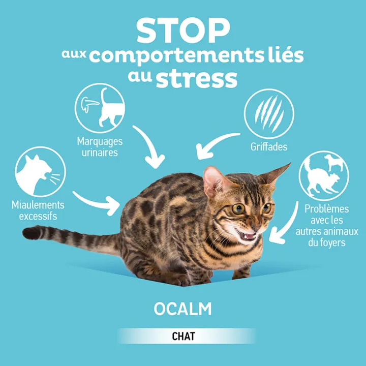 O'CALM Feromoon Anti-Stress Spray Kat 60 ml