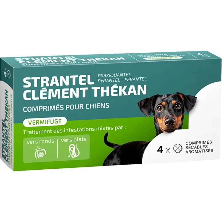 Wurmmittel Strantel Clement Thekan Hund