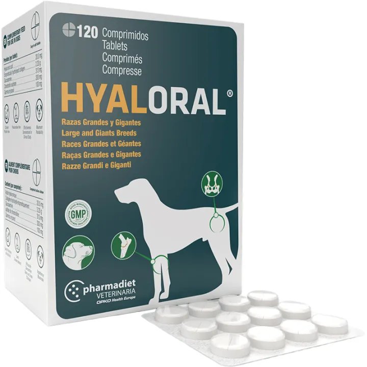 Hyaloral Beweglichkeit & Gelenke Hund Tabletten