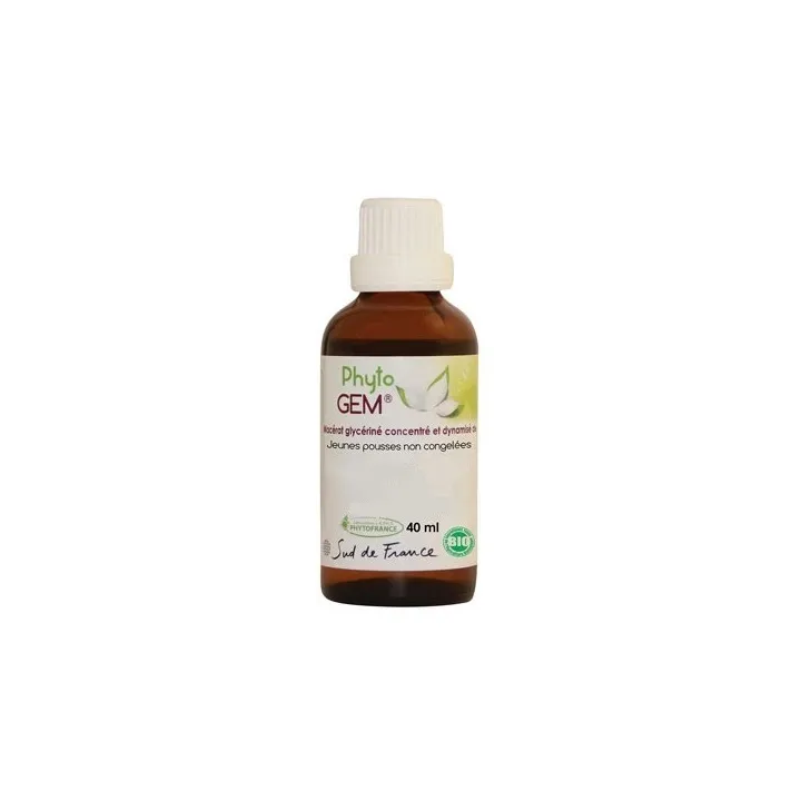 Phyto'Gem Macerado de Capullos Concentrado BIO 40 ml - Planta de su elección