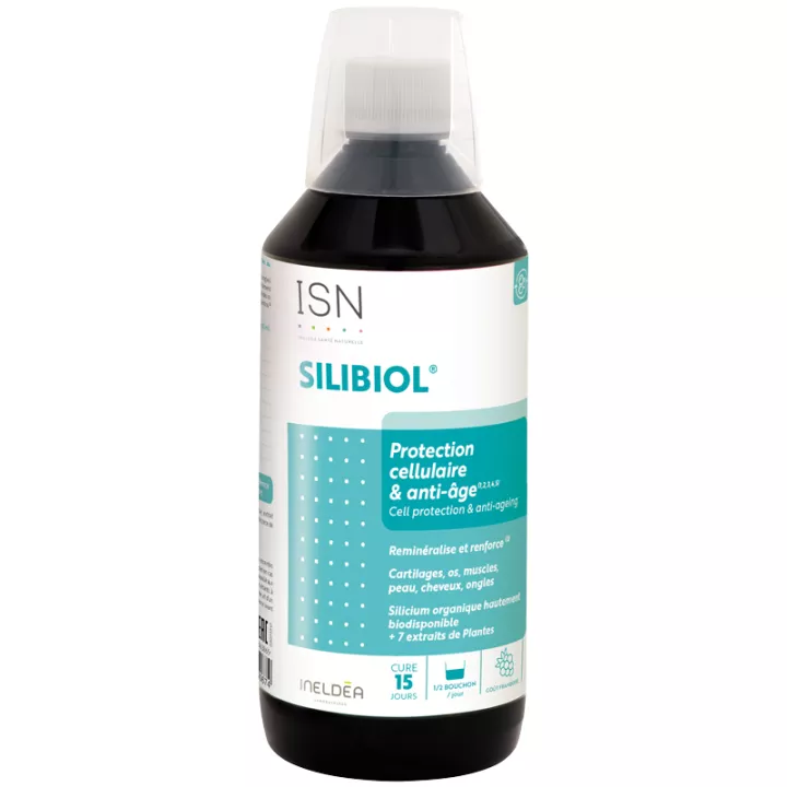 Health-Natural Silibiol Organisches Silizium 500ml