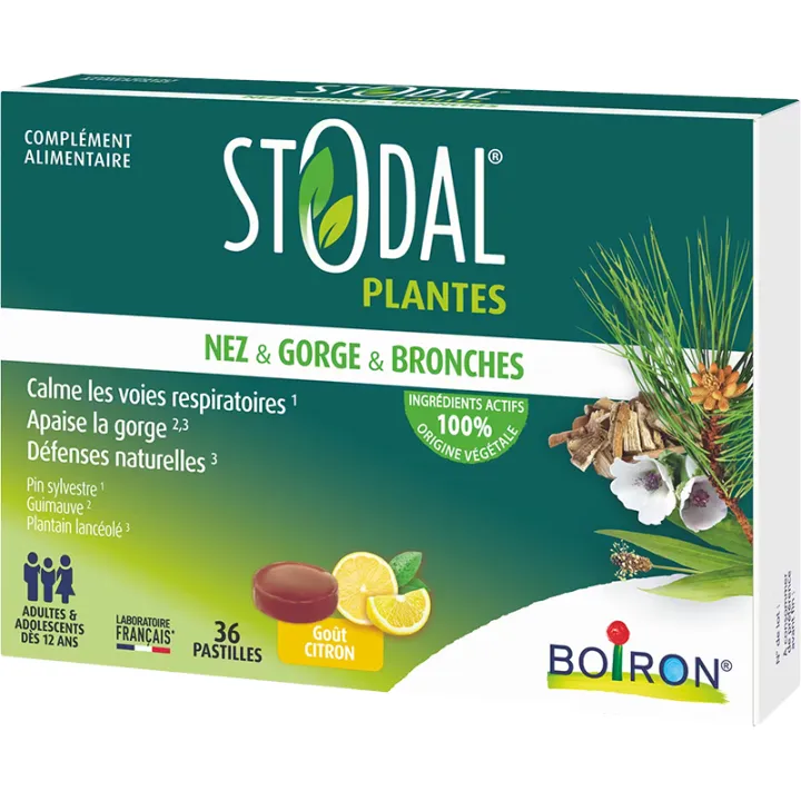 Stodal Plantes Pastilles Nez & Gorge & Bronches x36 