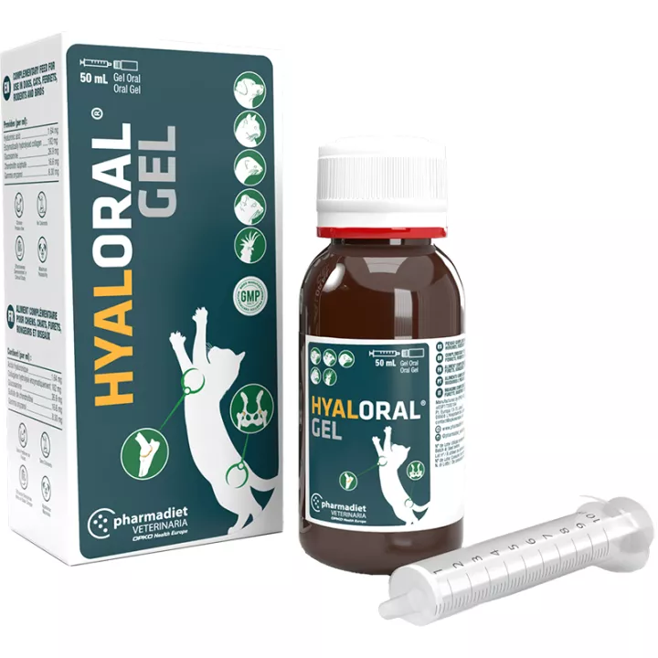 Hyaloral Beweglichkeit Gelenke Hund Katze & NAC Oral Gel 50g