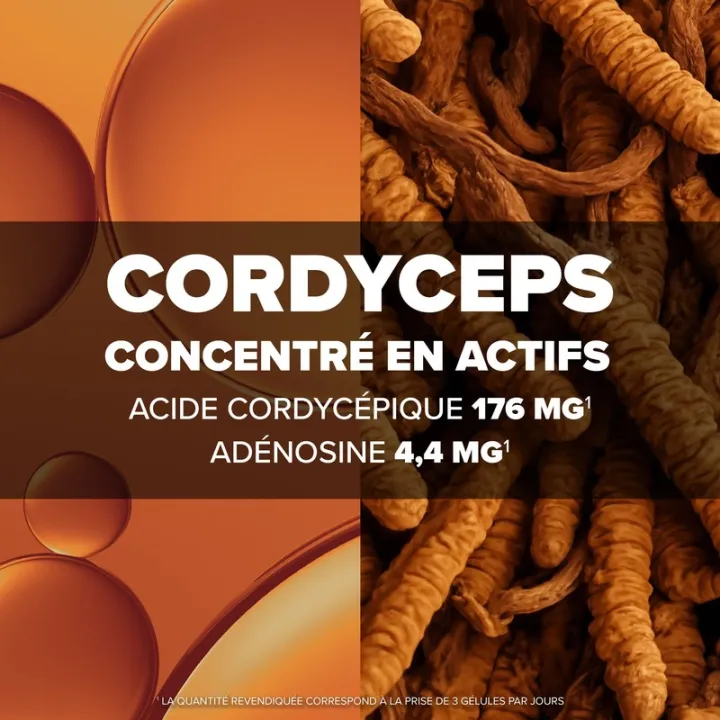 Arko Cordyceps 60 capsule