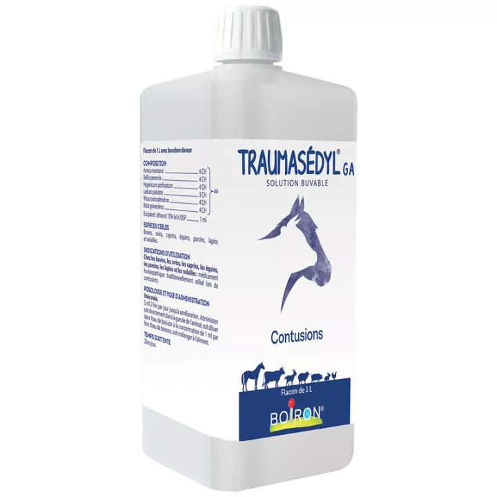 Traumasédyl GA Contusions Solution Buvable Boiron 1 L