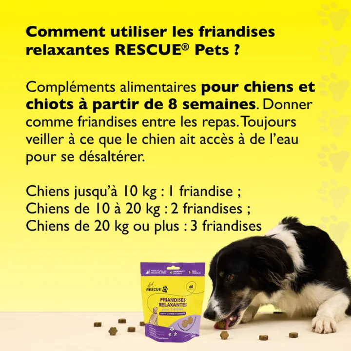 Rescue Pets Guloseimas para Cães x 60