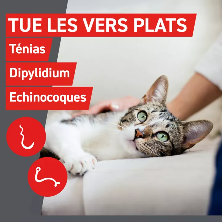 Frontcontrol-Wormer Wurmkur Katzen 2 Tabletten