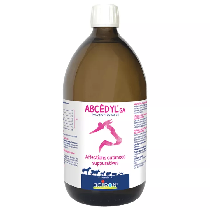 ABCEDYL GA PVB ABSCESS GA SOLUCIÓN ORAL BOTELLA 1 L