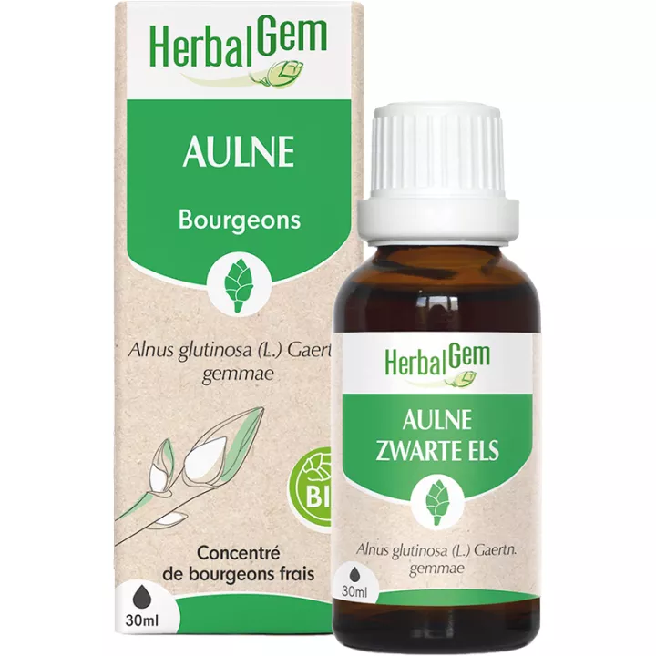 Herbalgem Aulne Glutineux Bud Bio 30 ml