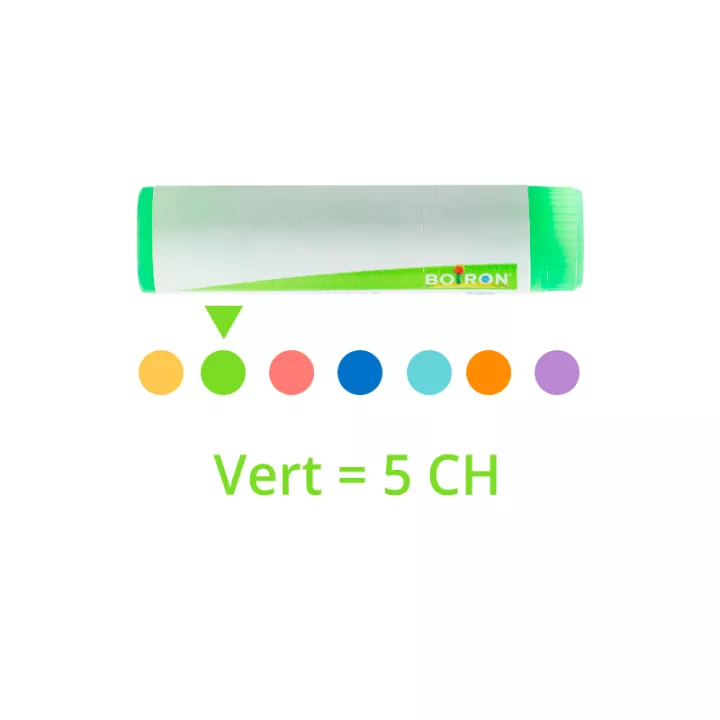 Homéopathie Lycopodium clavatum Dose Boiron