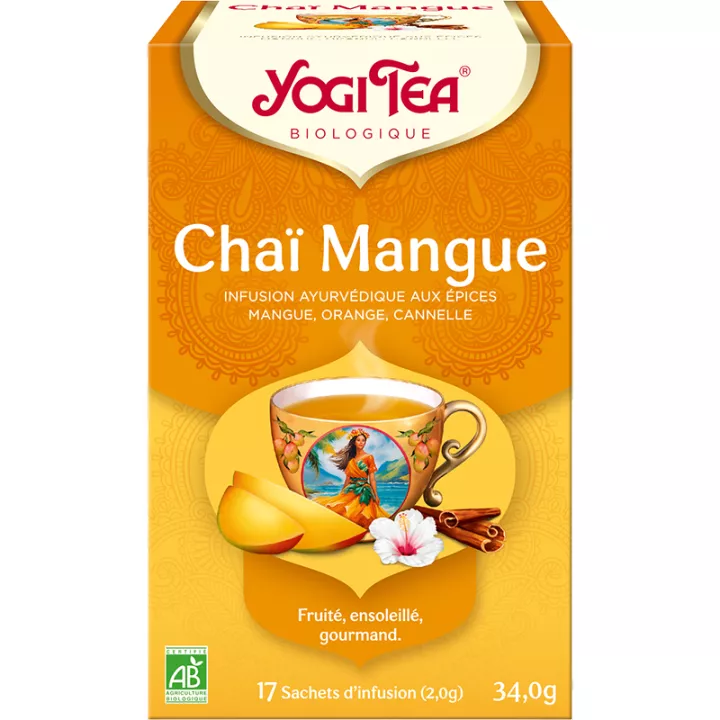 Nutrisanté Infusión de Pan de Jengibre BIO 20 Bolsitas