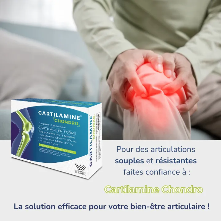 Cartilamine Condro Flexibilidad Articular 60 comprimidos