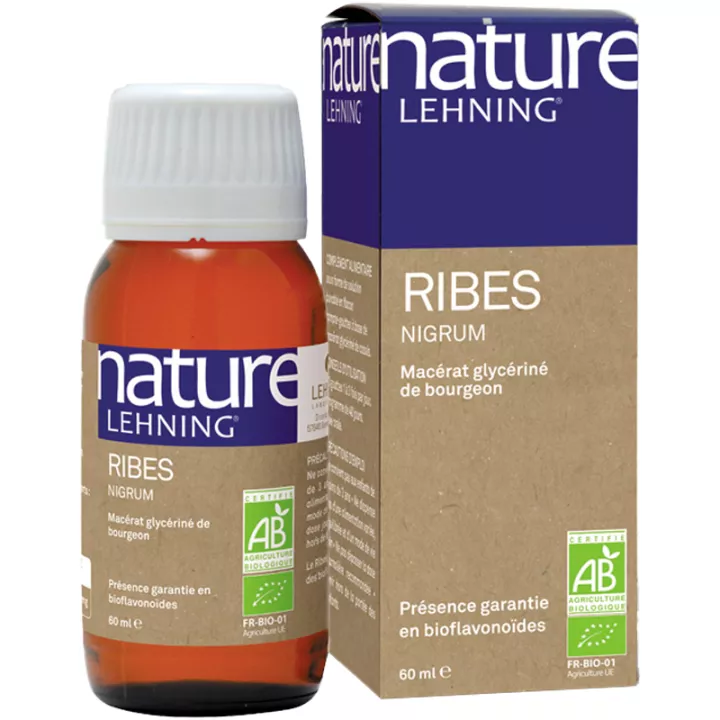 Nature Lehning Ribes Nigrum Glycerinmazerat 60 ml