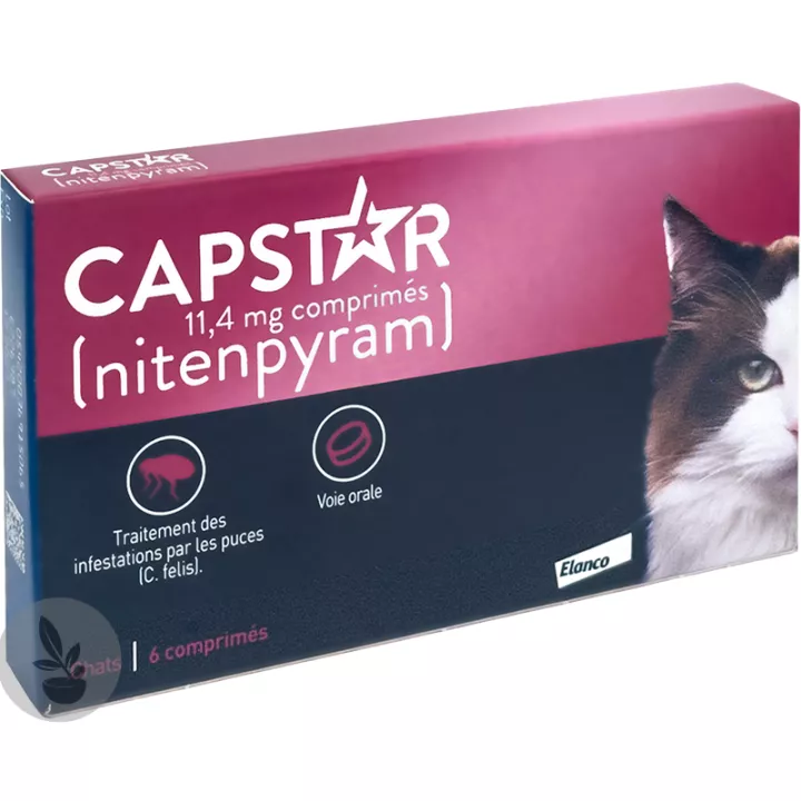 Capstar Cat 6 compresse