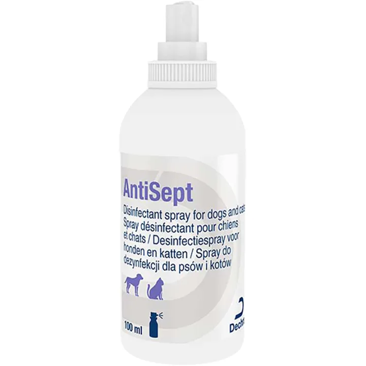 Antisept Desinfektionsspray Chlorhexidin Katze & Hund