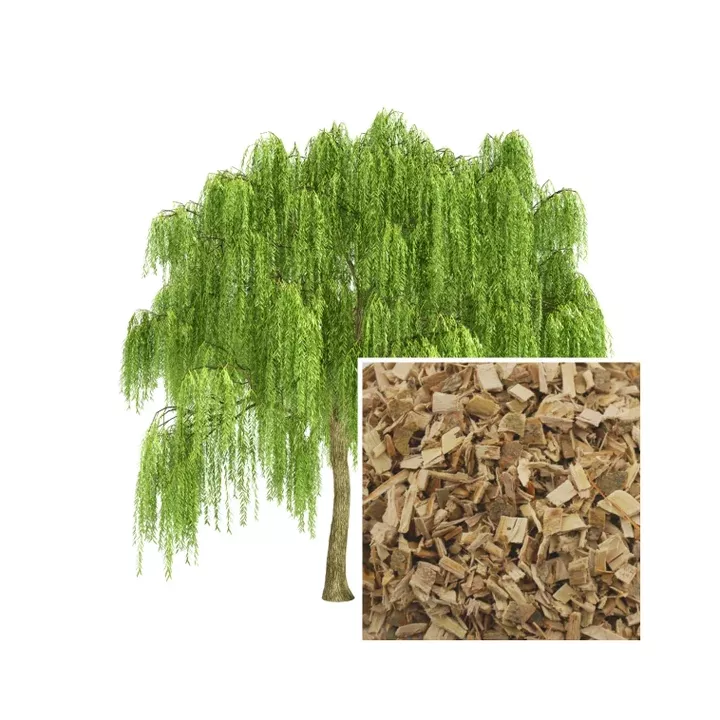EPS Pileje Wilgenschors vloeibaar extract