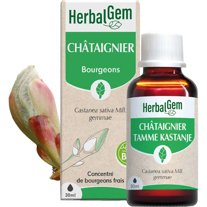 Herbalgem Muttermazerat Kastanie Bio 30 ml