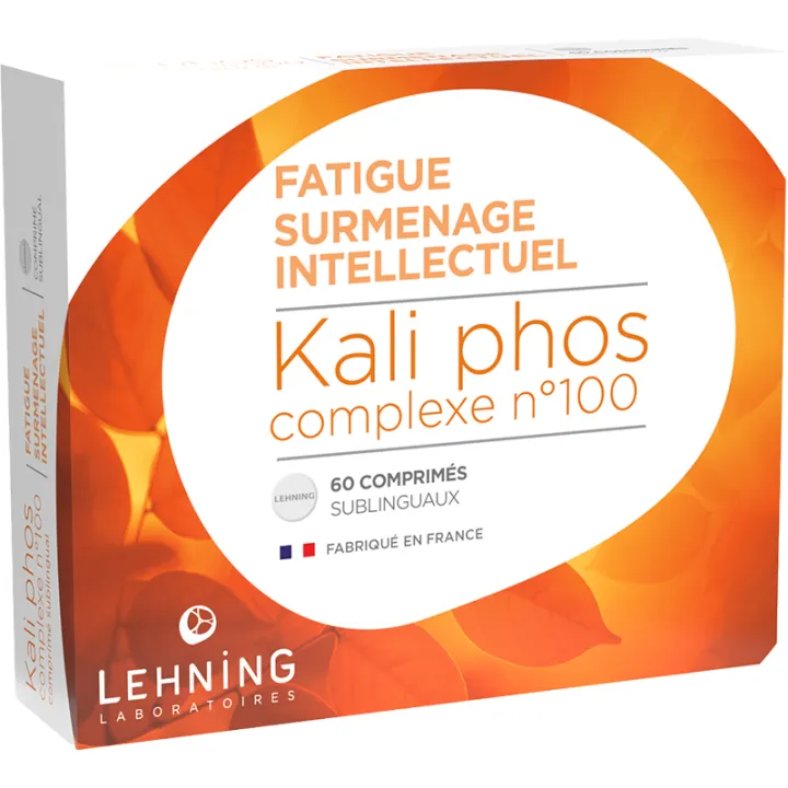 Lehning Kali Phos Complex 100 Intellectueel Overwerken