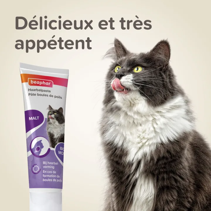 Beaphar Pâte Anti-Boules de Poils au Malt  Pour Chats 100 g
