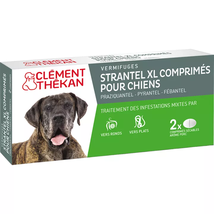 Strantel dewormer for medium and XL dogs Clément Thékan 