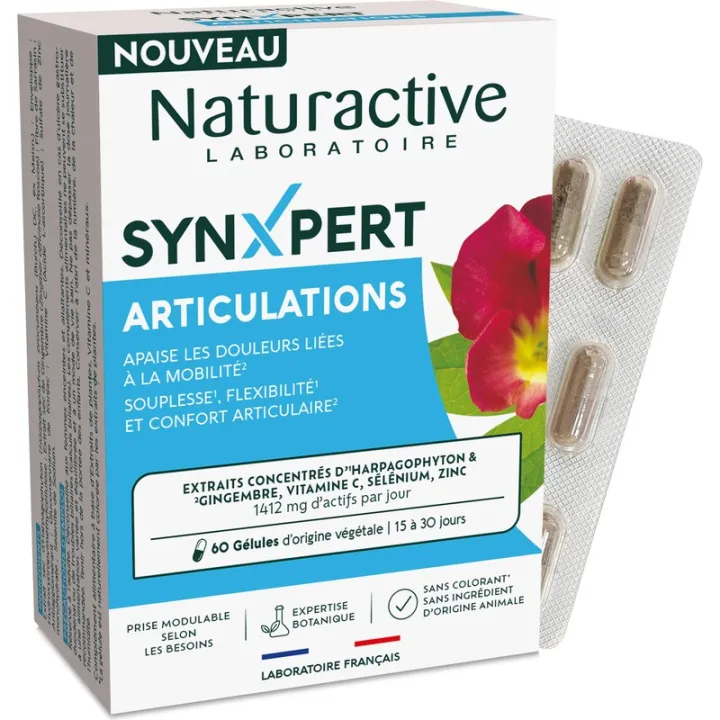 Naturactive Synxpert Gelenke 60 Kapseln