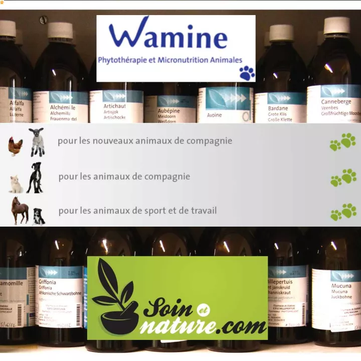 WAMINE Personalized Veterinary EPS Mix for Animals