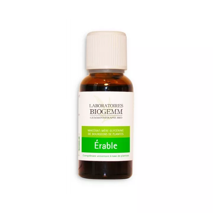 Ahorn Knospe Macerat Bio Biogemm 30 ml
