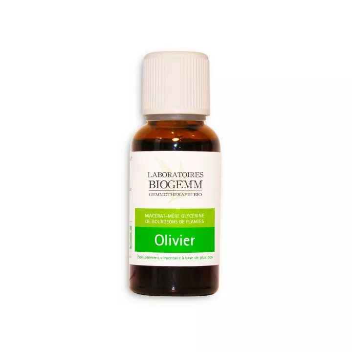 Olivenbaum Knospen-Mazerat Bio Biogemm 30 ml