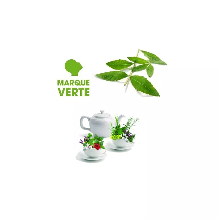 VERVEINE SACHET FILTRE INFUSION BT25 MARQUE VERTE