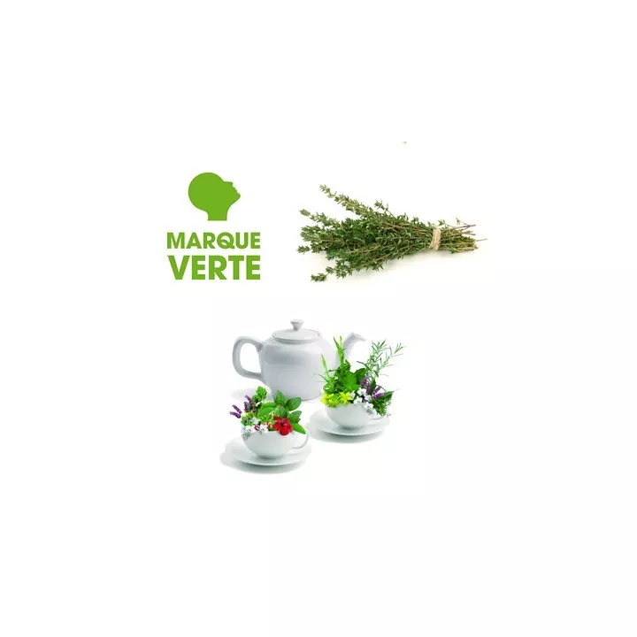 THYME Infusionsbeutel FILTER GREEN MARK BT25